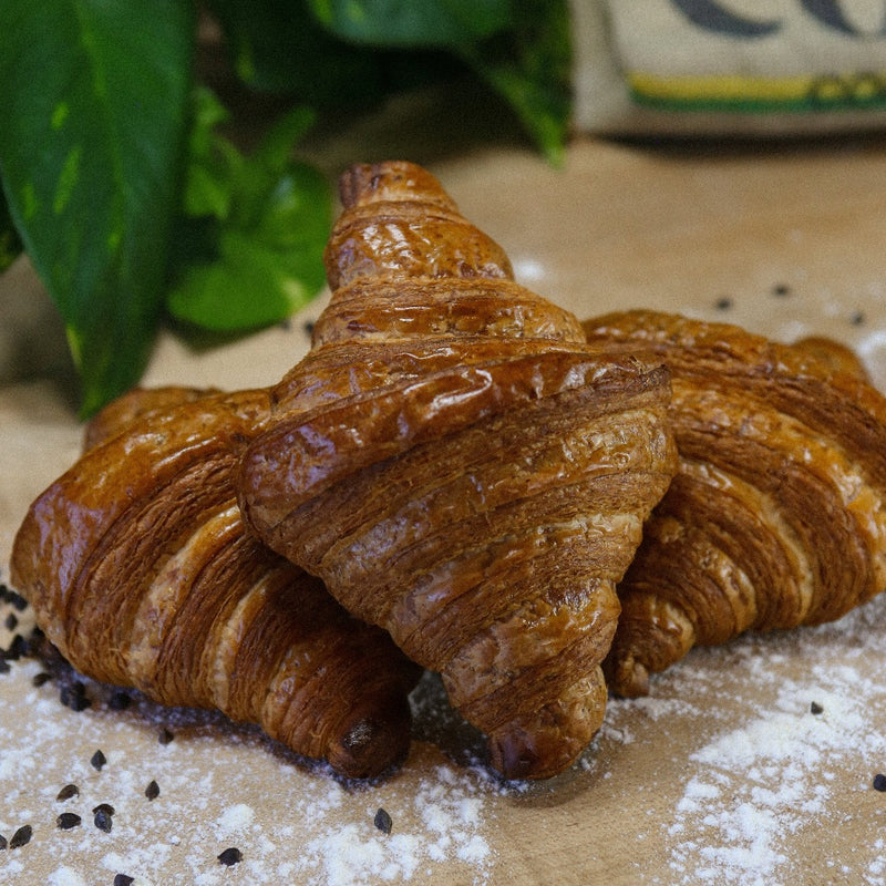 Three butter croissants sitting on baker's bench with flour