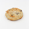 Gluten Free Coconut Chocolate Chip Cookie on a white background.