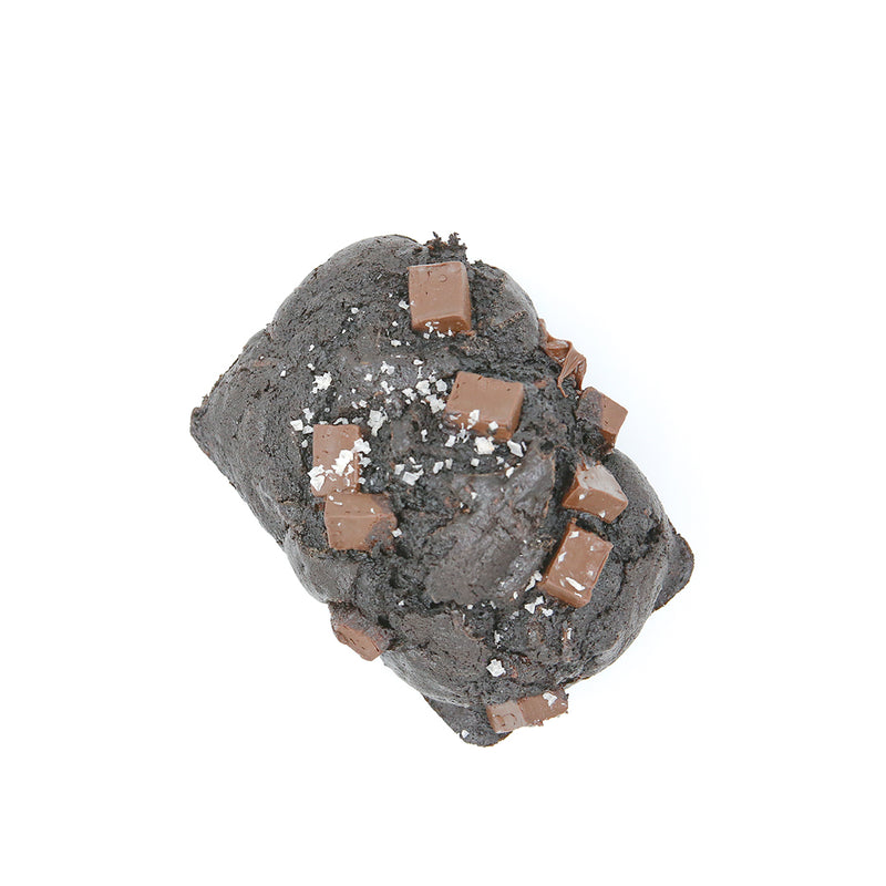 Noir Chocolate Zucchini Cake on white background.